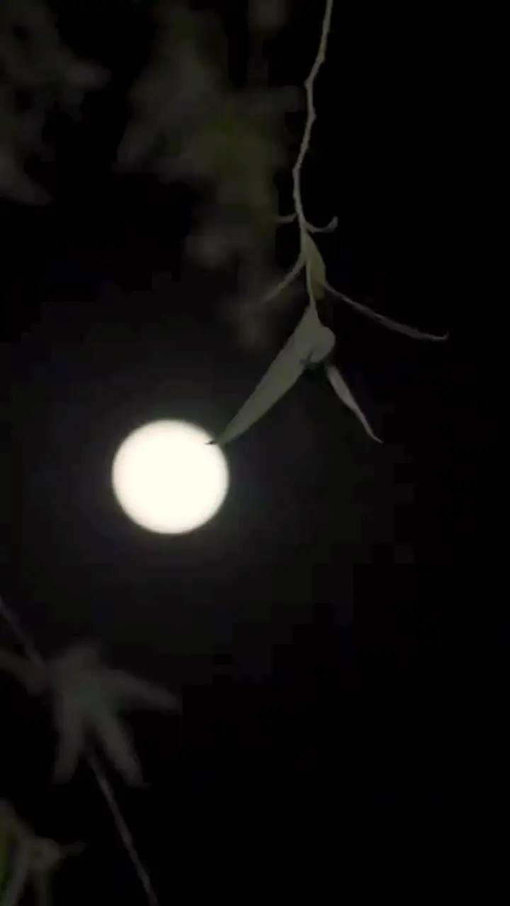 Episode 27
