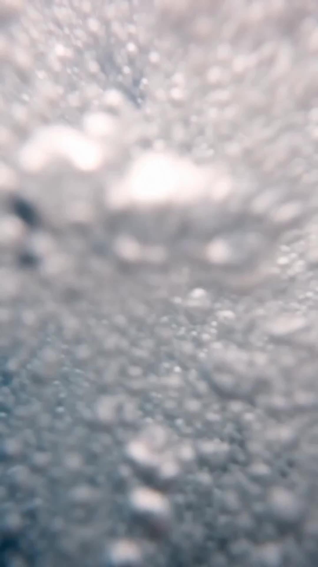 سيد لعبة البقاء