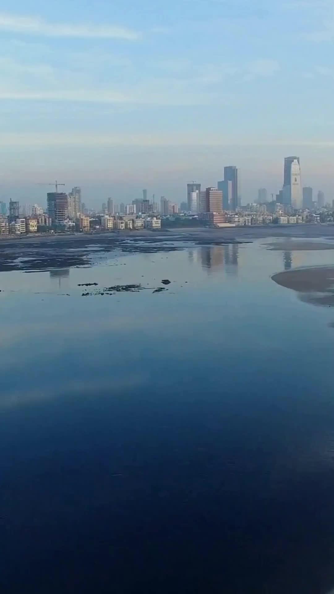(Dublagem)Um Erro Bilionário