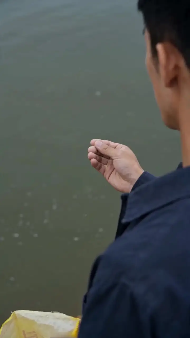 Episode 29