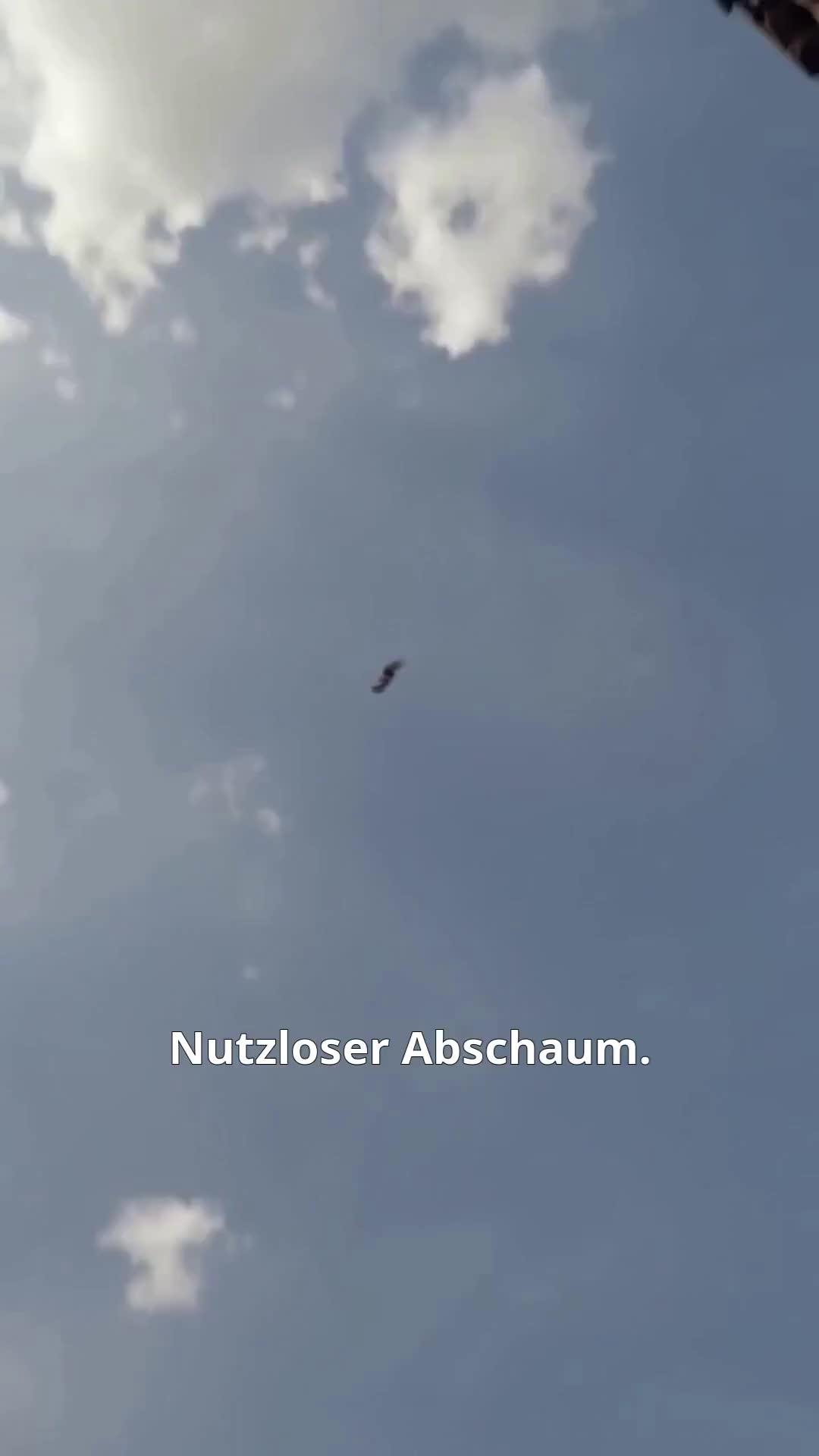 (Synchro) Ein wolfloser Zimmermann erobert die Welt