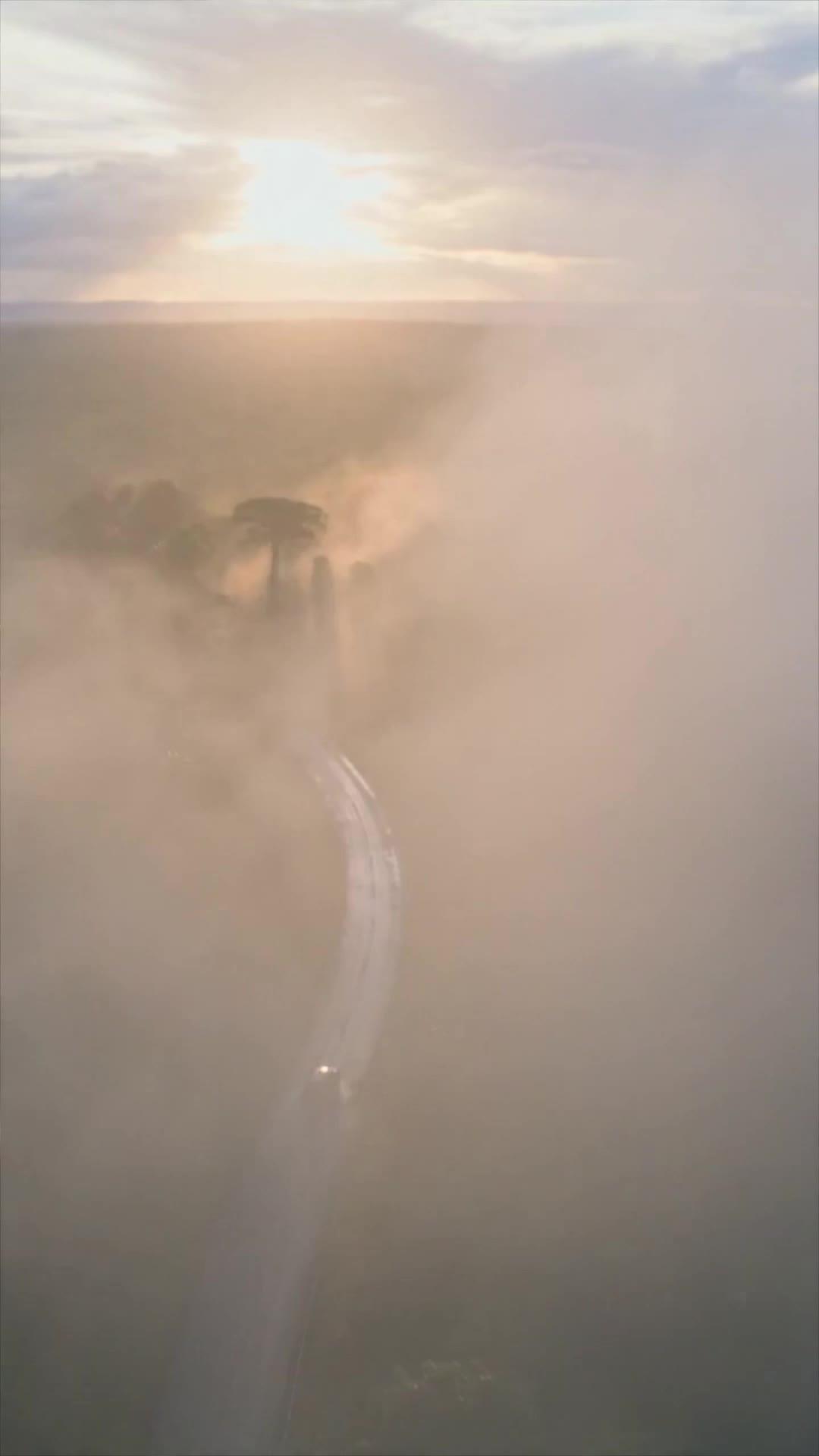 Autostrada del Desiderio Infinito