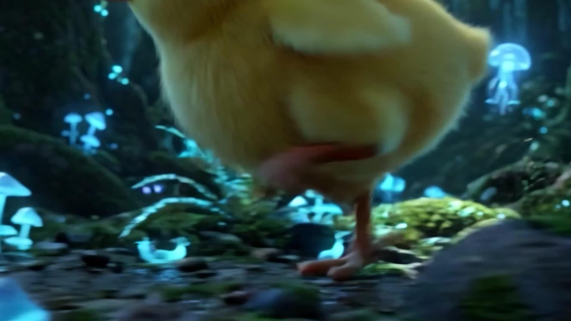 DE POULET À INVINCIBLE 