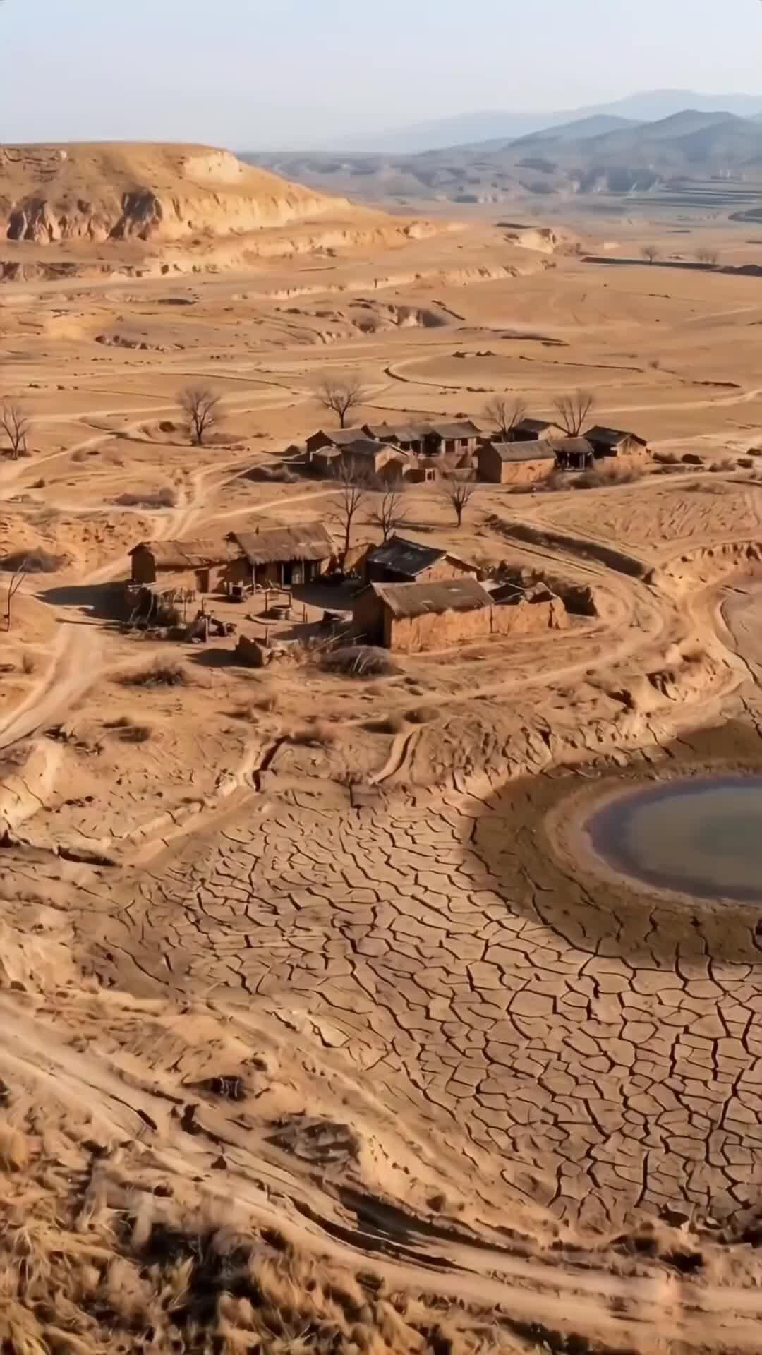 أمير بصنارة