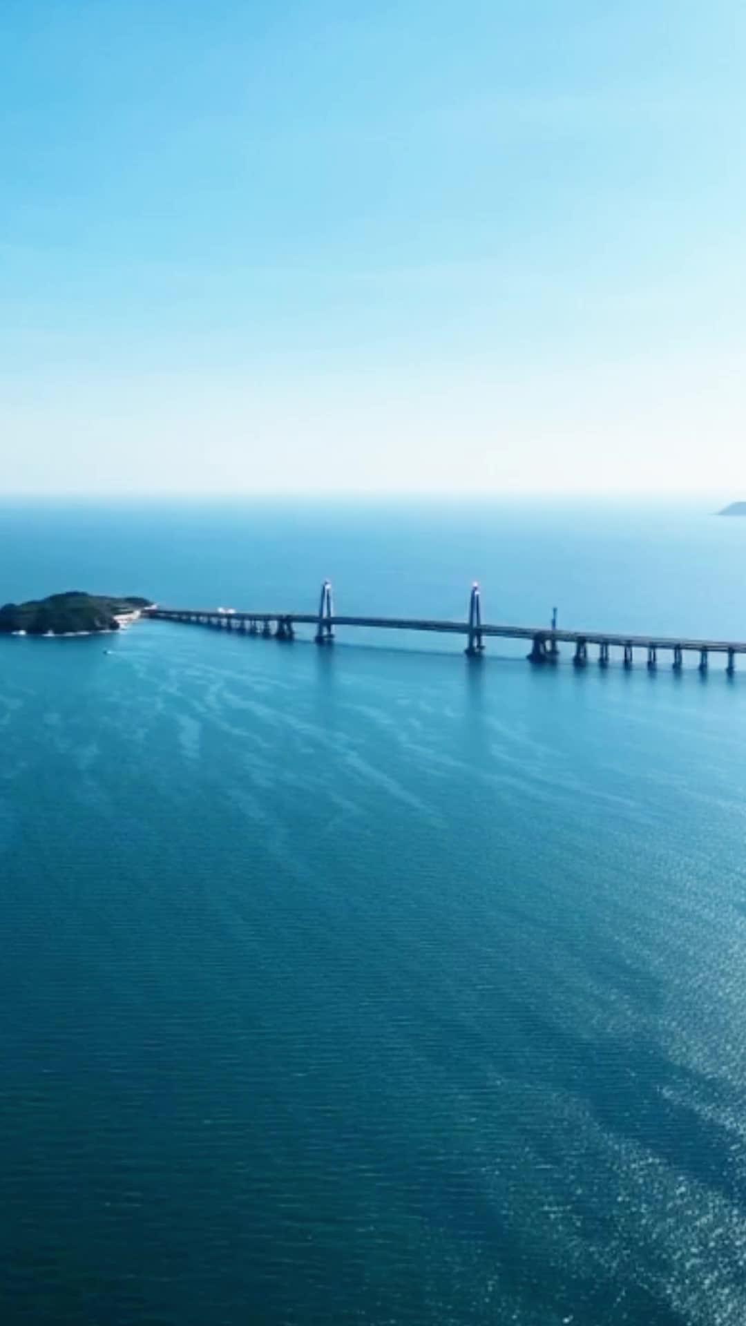 O Engenheiro Traído do Tsunami